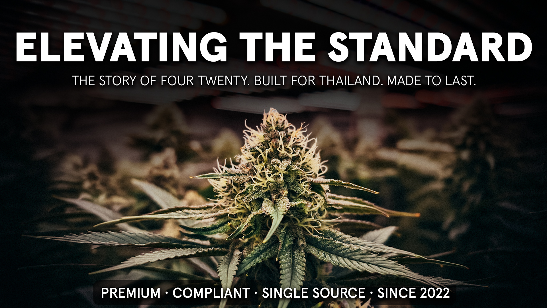 Elevating the Standard: The Genesis of Four Twenty and the Pursuit of Professionalism