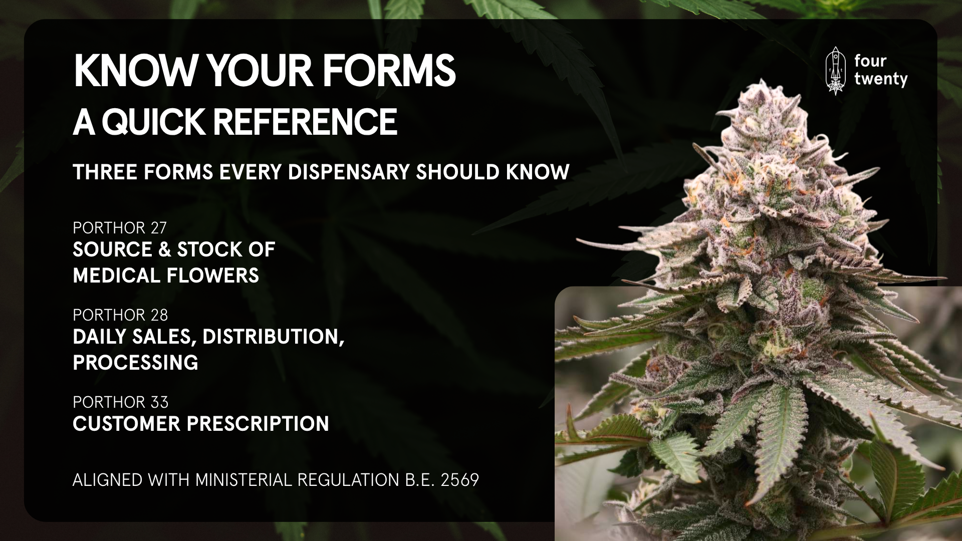Building a Sustainable Future: A Guide to Thailand's Evolving Cannabis Compliance Framework