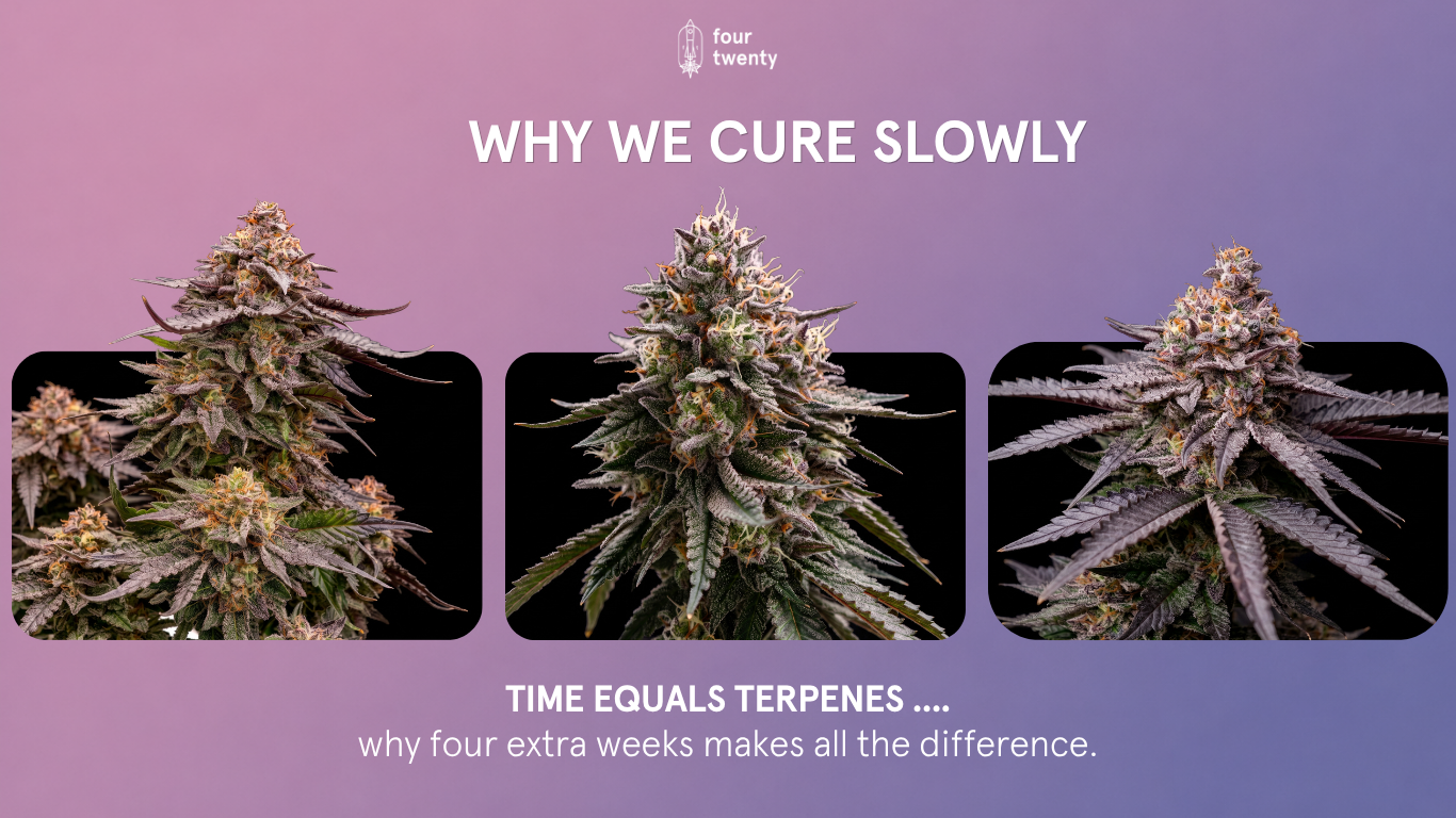The Art of the Wait: Why We Invest Four Extra Weeks into Our Curing Process