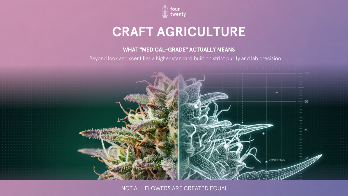 Not All Flowers Are Created Equal: What "Medical-Grade" Craft Cultivation Actually Means