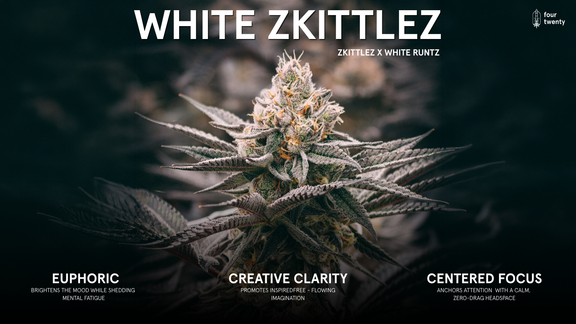 Strain Spotlight: The Freshly Harvested Craft of White Zkittlez