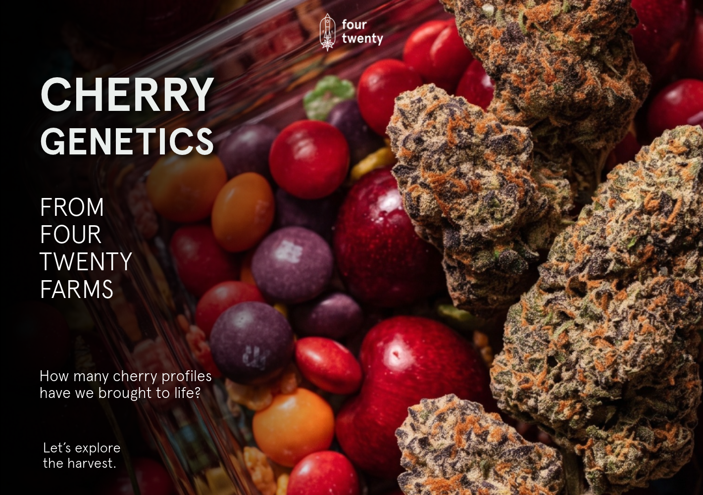 Exploring the Harvest: The 5 Signature Cherry Strains from Four Twenty Farms