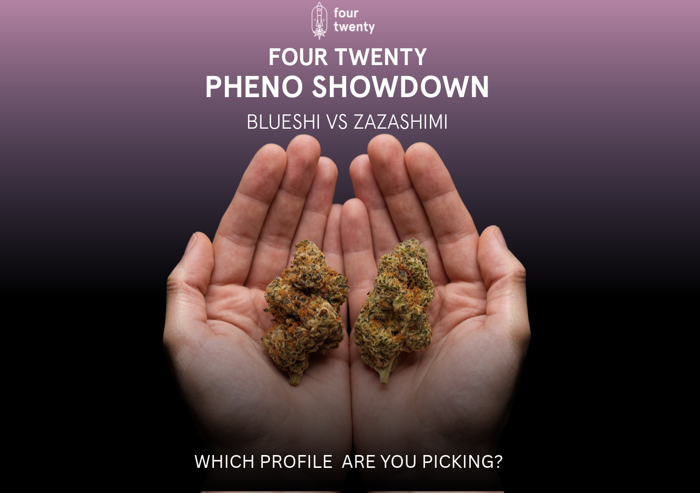 Pheno Showdown: Blueshi vs. Zazashimi — One Shared Lineage, Two Distinct Expressions